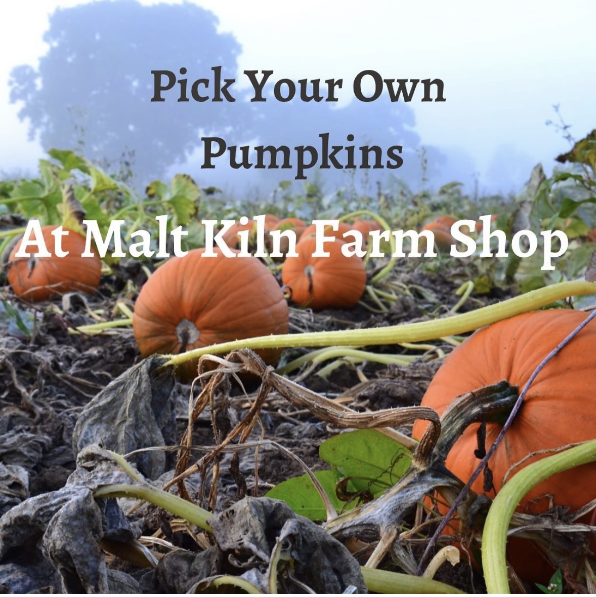 Malt Kiln Farm Shop